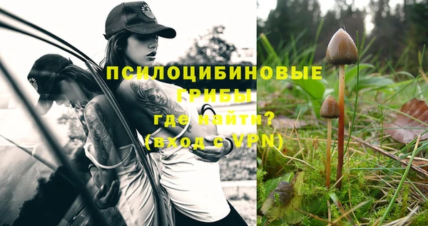 гидропоника Куйбышев