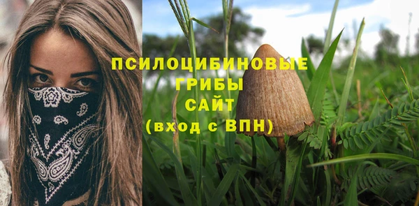 гидропоника Куйбышев