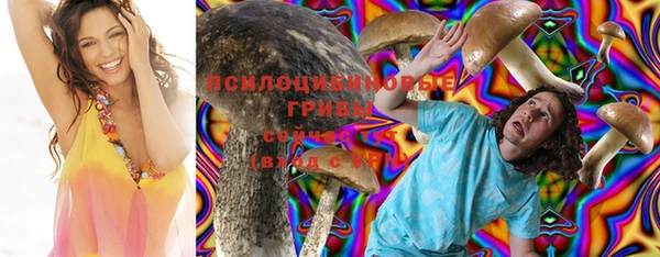 гидропоника Куйбышев