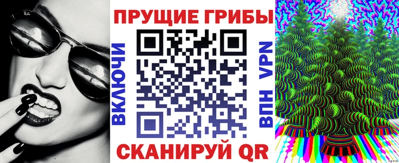 Псилоцибиновые грибы GOLDEN TEACHER  Купить закладки  Великий Новгород 